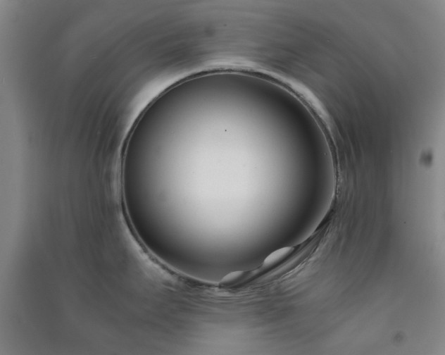 X0000091221295200708161648