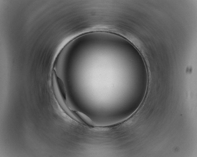 X0000091221296200708161648