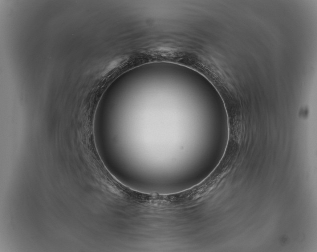 X0000091221297200708161648