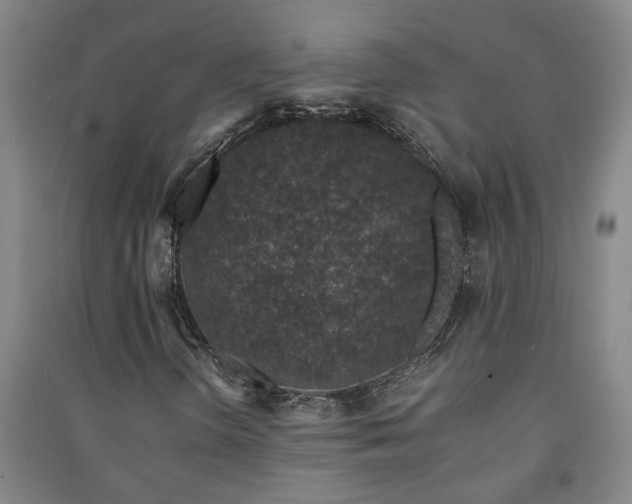 X0000091221298200708161648