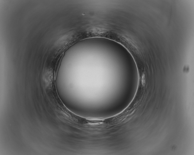 X0000091221299200708161648