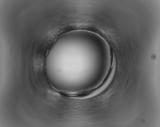 X0000091221300200708161648