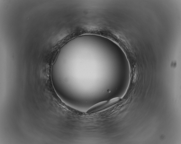 X0000091221301200708161648