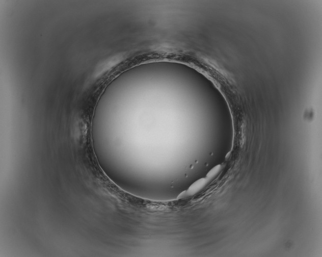 X0000091221302200708161648