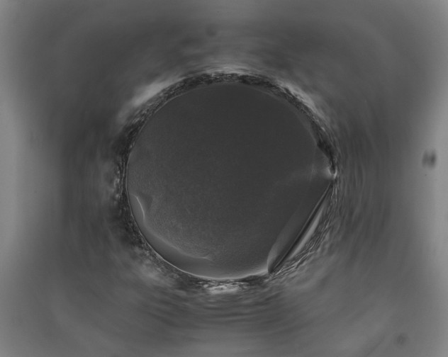 X0000091221303200708161648