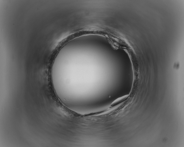 X0000091221304200708161648