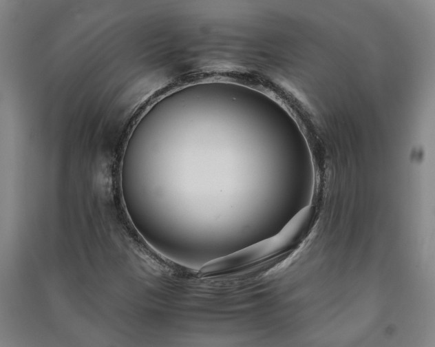 X0000091221305200708161648