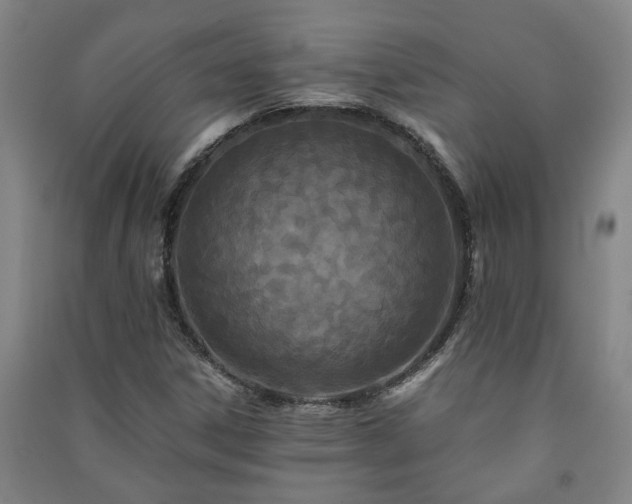 X0000091221306200708161648