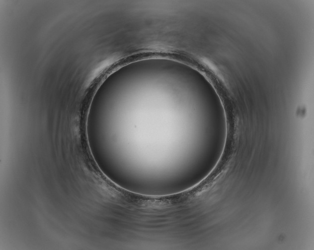 X0000091221307200708161648