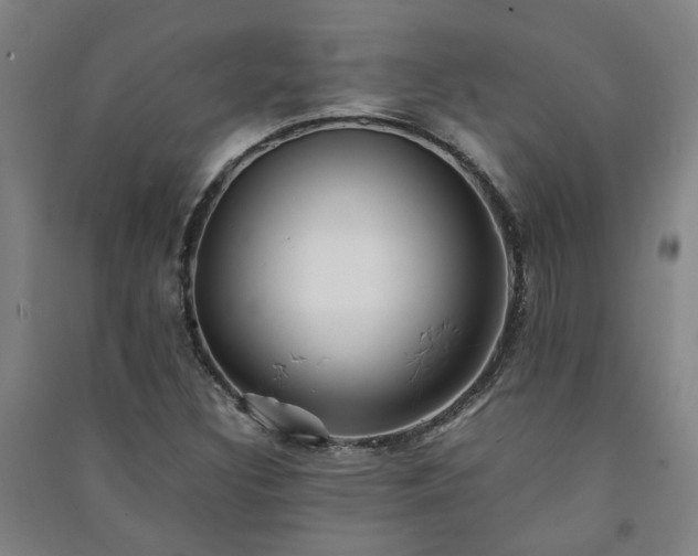 X0000091221308200708161648