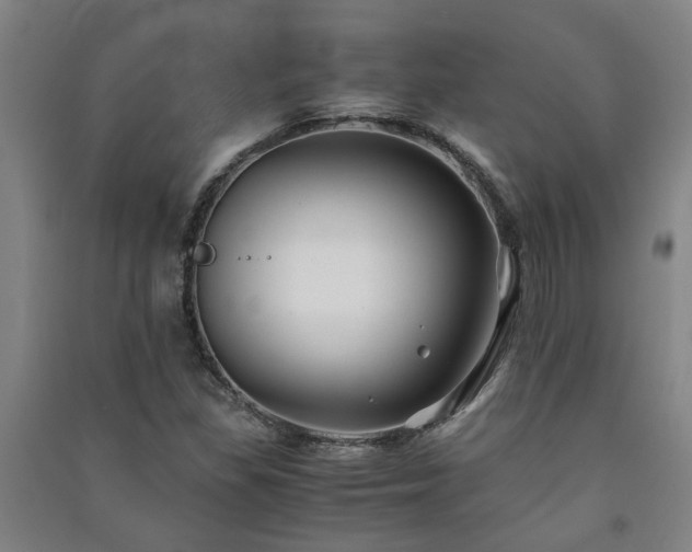 X0000091221309200708161648