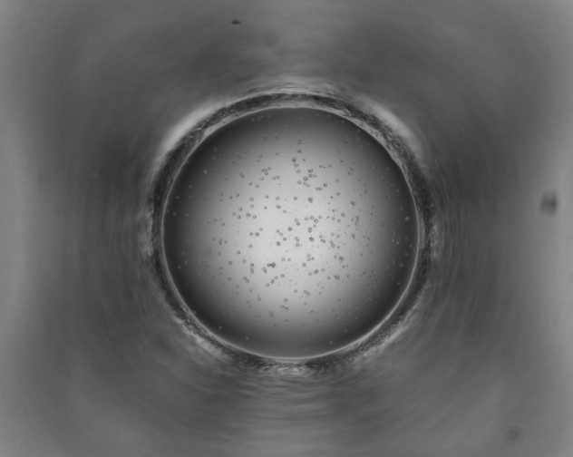 X0000091221310200708161648