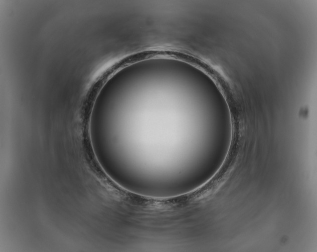 X0000091221311200708161648