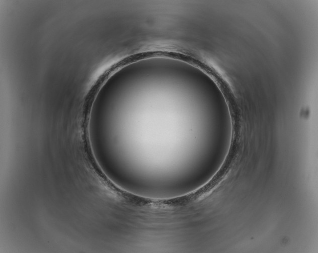 X0000091221312200708161648