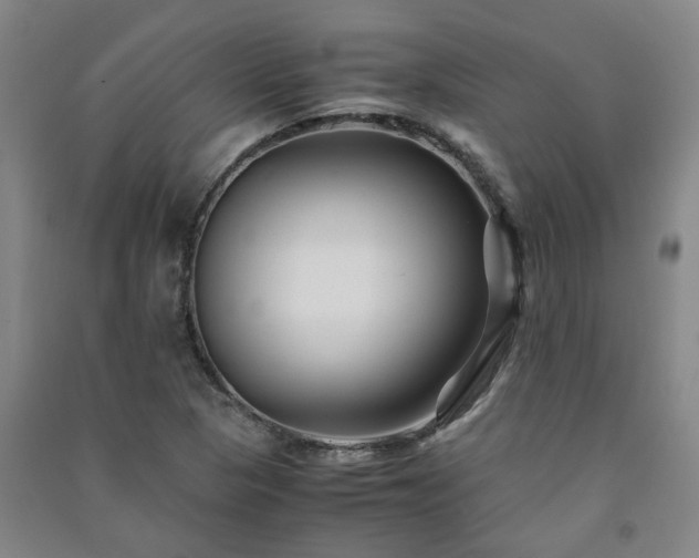 X0000091221313200708161648