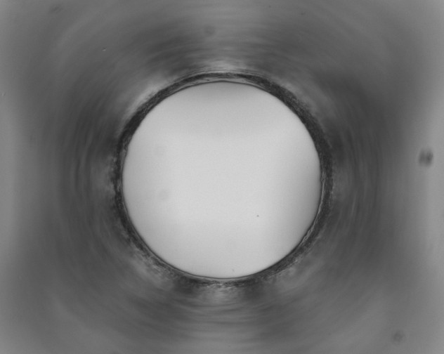 X0000091221314200708161648