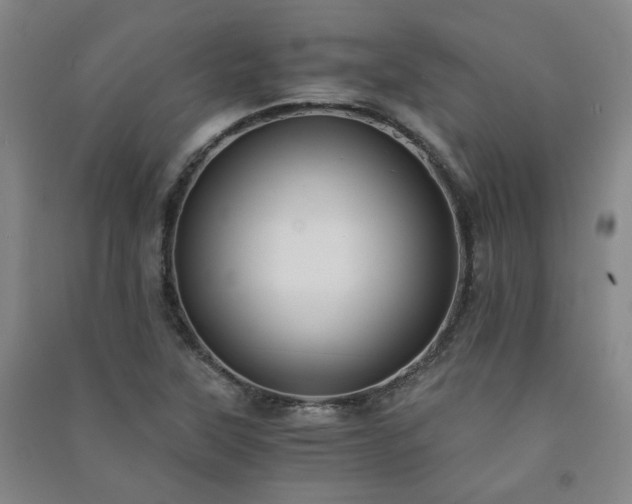 X0000091221315200708161648