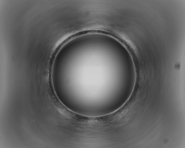 X0000091221316200708161648