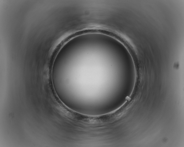 X0000091221318200708161648