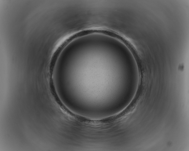 X0000091221319200708161648