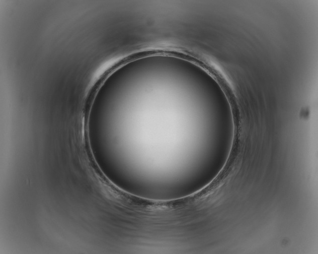 X0000091221320200708161648