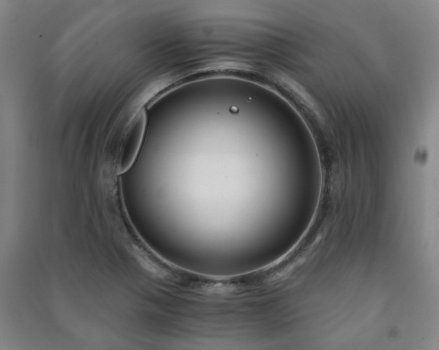 X0000091221321200708161648