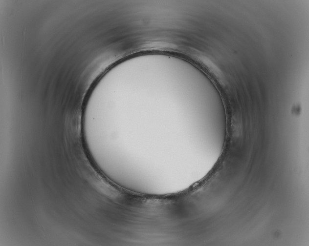 X0000091221322200708161648