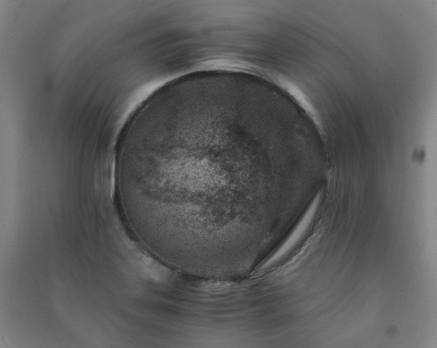 X0000091221323200708161648