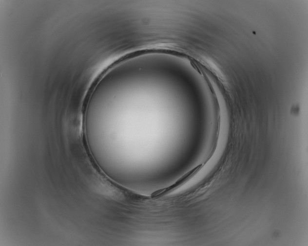 X0000091221324200708161648