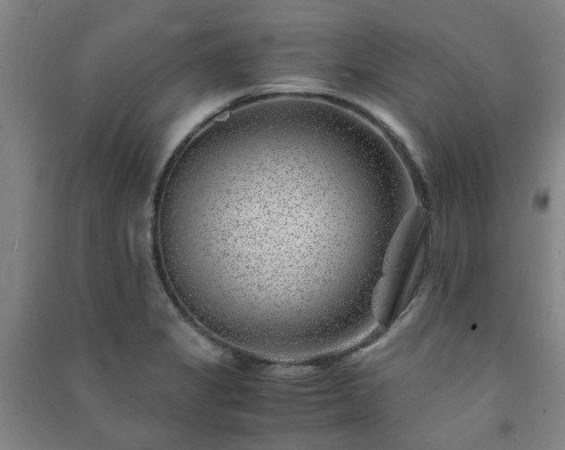 X0000091221325200708161648