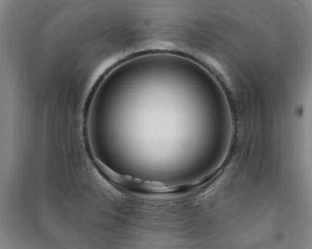 X0000091221326200708161648