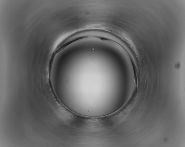 X0000091221328200708161648