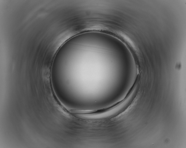 X0000091221329200708161648