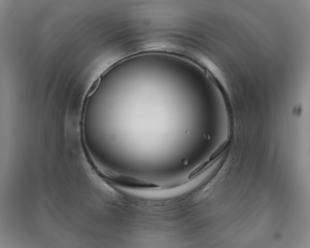 X0000091221330200708161648