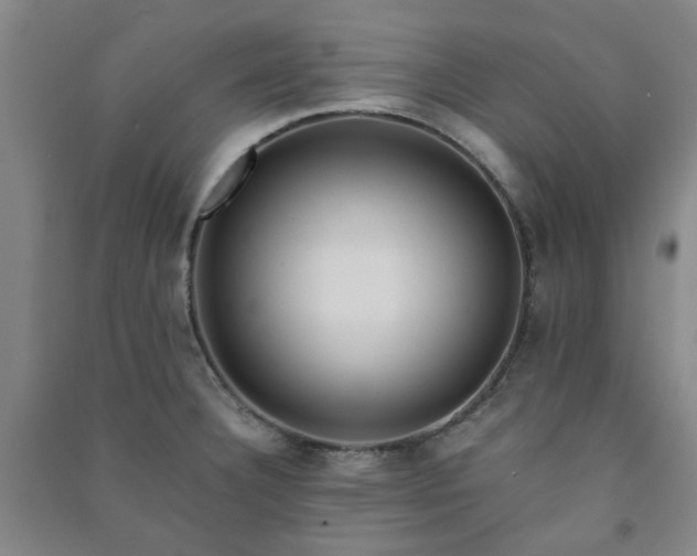 X0000091221332200708161648