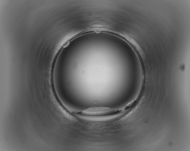 X0000091221333200708161648