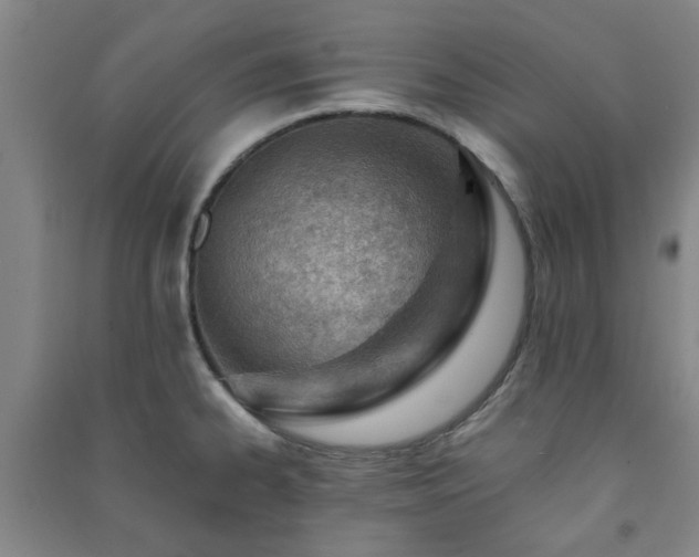 X0000091221334200708161648