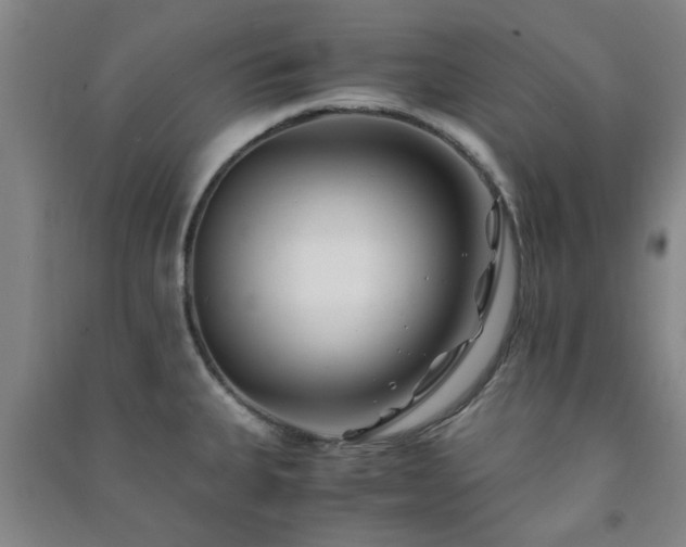 X0000091221335200708161648