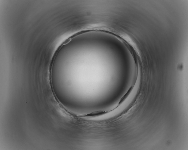 X0000091221336200708161648