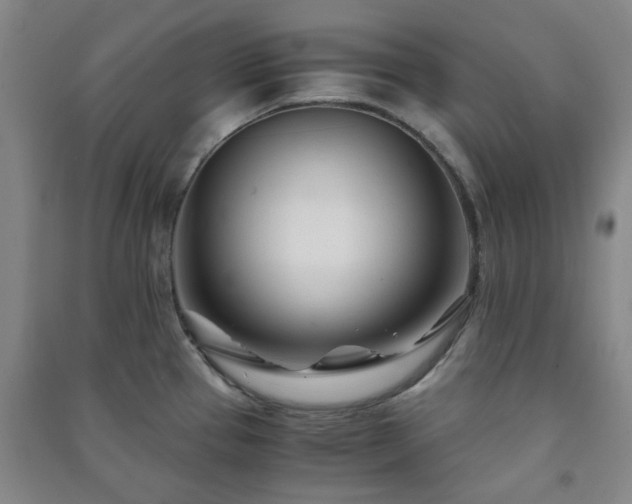 X0000091221337200708161648