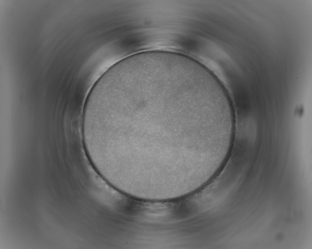 X0000091221338200708161648