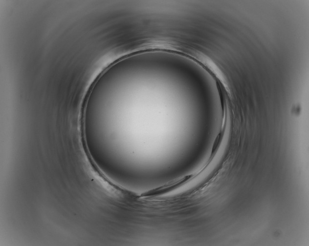 X0000091221339200708161648