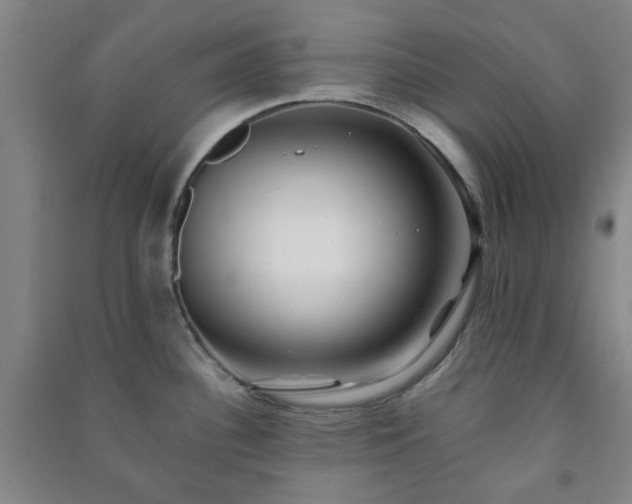 X0000091221340200708161648