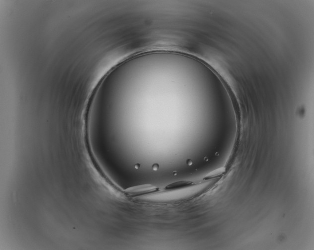 X0000091221341200708161648