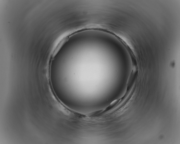 X0000091221342200708161648