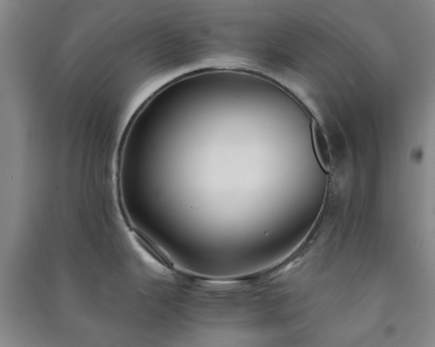 X0000091221343200708161648