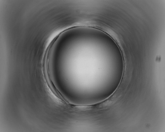 X0000091221344200708161648