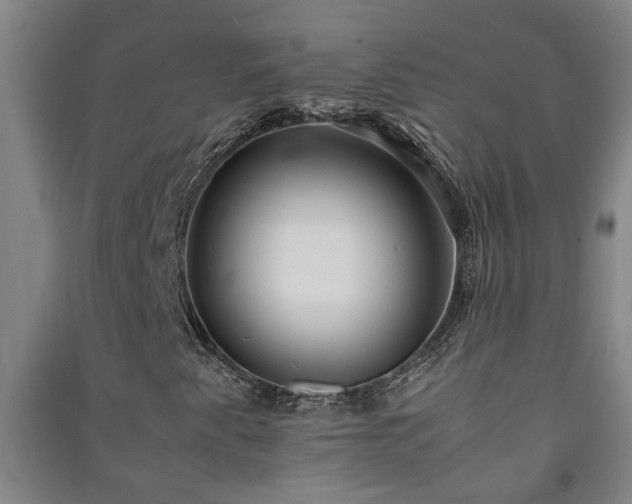 X0000091221345200708161648