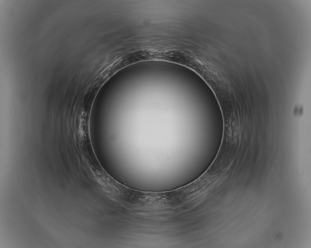 X0000091221346200708161648