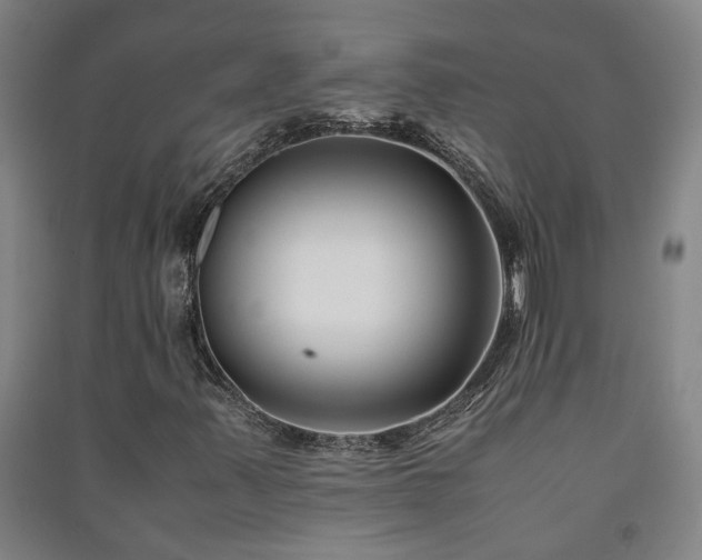 X0000091221347200708161648